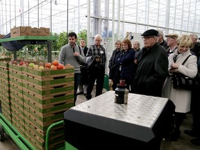 Matt Korpan, Truly Green grower and operation manager, explains to the Rotary Club of Downtown Chatham how the automated machines help move tomatoes from the greenhouse to the sorting and packing area  on Wednesday November 26, 2014. Diana Martin/Chatham Daily News/QMI Agency