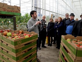 Matt Korpan, Truly Green grower and operation manager, explains to the Rotary Club of Downtown Chatham how the automated machines help move tomatoes from the greenhouse to the sorting and packing area on Nov.26. Diana Martin/QMI Agency