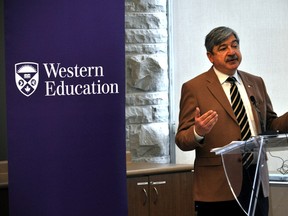 Peter Jaffe, academic director at the Centre for Research and Education on Violence Against Women and Children (Postmedia Network file photo)