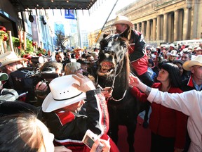 Fletcher Armstrong and Marty (the horse) arrive at the Royal York Hotel in Toronto on November 22, 2012. (Craig Robertson/Toronto Sun/QMI Agency)