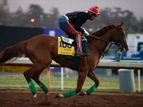 Kentucky Derby and Preakness winner California Chrome will run in the Hollywood Derby at Del Mar on Saturday.  (USA TODAY)