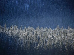 Kananaskis Country in winter. Mike Drew/Calgary Sun/QMI Agency