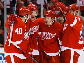 Red Wings centre Gustav Nyquist (8) celebrates with teammates after scoring in the first period against the Canucks in Detroit on Sunday, Nov. 30, 2014. (Rick Osentoski/USA TODAY Sports)