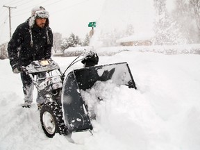 Getting a snowblower is not as easy as simply walking into a store.