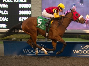 Emma-Jayne Wilson guides London Tower to victory in the $150,000 Lassie Stakes for Ontario-bred two-year-old fillies at Woodbine Racetrack on Sunday. (Michael Burns/Photo)