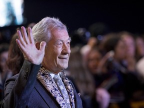 Ian McKellen (WENN.COM)