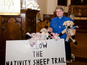 Holy Trinity Anglican Church Archdeacon Deborah Lonergan-Freake poses with her “wandering sheep” at the church. The 18 sheep will be found in businesses around Cochrane until Dec 21.