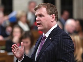 Canada's Foreign Minister John Baird speaks during Question Period in the House of Commons on Parliament Hill in Ottawa November 24, 2014. REUTERS/Chris Wattie