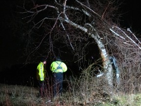 Niagara Regional Police are pictured next to a vehicle that crashed into a treetop  before landing below Wednesday, Dec. 3, 2014. (GREG FURMINGER/Tribune Staff)