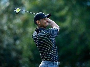 Tiger Woods hits his tee shot on the third hole during the first round the Hero World Challenge at the Isleworth Golf & Country Club on December 4, 2014 in Windermere, Florida. (Scott Halleran/Getty Images/AFP)