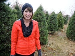Corrine Linker and family are in the business of making Christmas memories with nine acres of trees on their Strathroy farm.
