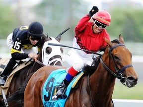 Jockey Luis Contreras has racked up 160 wins at Woodbine. (Michael Burns photo)