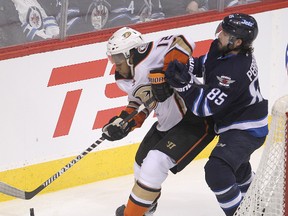 Anaheim Ducks right winger Devante Smith-Pelly (l) and Winnipeg Jets centre Mathieu Perreault fight for the puck during NHL hockey in Winnipeg, Man. Sunday, December 07, 2014.(Brian Donogh/Winnipeg Sun/QMI Agency)