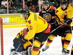 Bulls vs. Erie Saturday night at Yardmen Arena. (Don Carr for The Intelligencer)