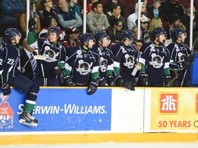 The Whalers are looking to Chatham as a potential new home after years of disappointing attendance in Plymouth, Mich. (AARON BELL/OHL Images)