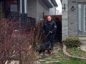 A London police dog team combs Crimson Cres. yards for evidence after a man was hurt in an early morning home invasion Wednesday. (CRAIG GLOVER, The London Free Press)
