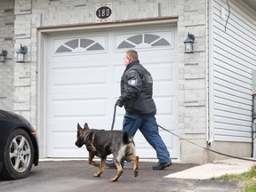 Officers from the London Police K-9 unit search backyards on Crimson Crescent for evidence following an early morning home-invasion robbery in London on Wednesday December 10, 2014.  Paramedics treated and transported a man to hospital with non-life-threatening injuries after the incident, which occurred just before 5 a.m.  Police have made one arrest and are searching for a second suspect.
CRAIG GLOVER The London Free Press / QMI AGENCY