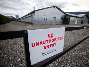 A view of a poultry farm under quarantine due to bird flu, or avian influenza, in Chilliwack, British Columbia December 8, 2014. (REUTERS/Ben Nelms)