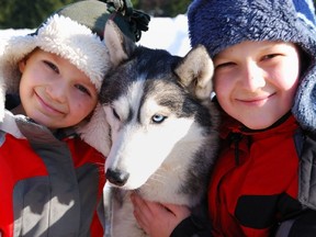 Have your picture taken with a dog-sledding team, courtesy of PawsWay, taking place at Winterfest on the waterfront.