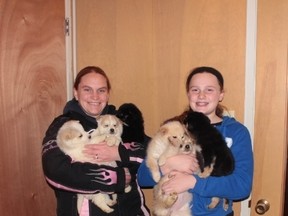 Stephanie & Sara Bernier with some of the rescue puppies they are caring for