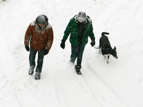 Pedestrians with a pet dog walk in the snow after a December 2014 snow fall in Toronto. (Toronto Sun file [photo)