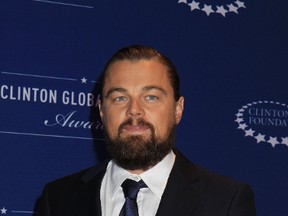 Leonardo DiCaprio. (WENN.COM)