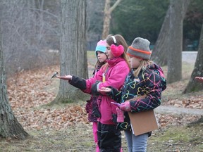 A group of youngsters feed a black-capped chickadee by hand during the Christmas Bird Count for Kids held earlier this month.