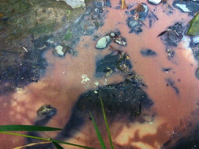 Cochrane’s Dairy fined for toxic dump into Castor River Ottawa Sun