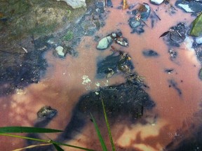 Photos of effluent flowing into the Castor River, east of Ottawa, were filed as exhibits Monday in the trial of Cochrane Dairy and executive Barry Cochrane, who pleaded not guilty to five counts laid under the Fisheries Act. (HANDOUT)