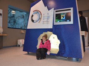 A young girl finds a useful resting place, an artificial den, which makes for an excellent photo opportunity.