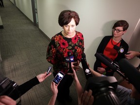 Theresa Oswald talks to media after she filed her papers to run for the NDP leadership Dec. 19, 2014.