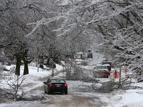 As shown in this picture -- taken Dec. 23, 2013 -- Toronto residents were battered by an ice storm last December. Large sections of the city were without power and many residents had to deal with damage which included fallen branches and trees. (DAVE ABEL, Toronto Sun)