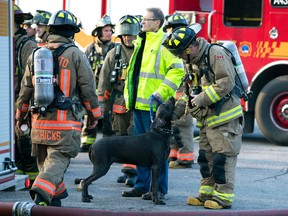 A firefighter pets the surviving dog of the owner  ( in the yellow jacket) as Toronto Fire investigates the scene at Donnybrook Lane and Dundas St. W. in Etobicoke. (DAVE ABEL, Toronto Sun)