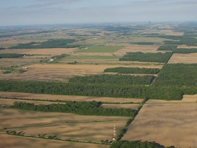 aerial view