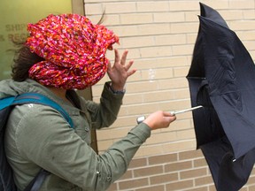 Celia Kirk, 16, fights with an unwieldy umbrella and a flying scarf as she walks into the wind in London, Ont., in this file photo.
MIKE HENSEN/THE LONDON FREE PRESS/QMI AGENCY