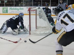 Alex Renaud of the Sarnia Sting tries to bank the puck off Plymouth Whalers goalie Zack Bowman from behind the net during OHL action Sunday afternoon at RBC Centre. The Sting went on to collect a 3-1 victory in their first game in nine days. (TERRY BRIDGE/THE OBSERVER)