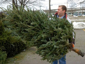 Starting Thursday, you can drop off Christmas trees at a community EnviroDepot for free to be recycled. (Free Press file photo)