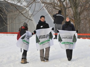 Greenpeace activists protests for better protection of forests in Montreal, Quebec. SYLVAIN DENIS/QMI AGENCY