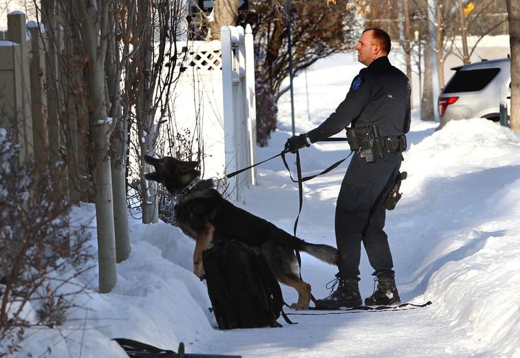 Edmonton Police Arrest Man On Canada-wide Warrants | Edmonton Sun