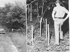This file photo shows where her lifeless body was found in Lawson’s Bush on June 11, 1959. Her killer has never been found, a mystery that still haunts her family and Huron County to this date. (QMI Agency file photo)