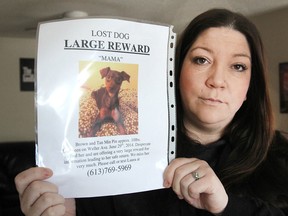 Laura Stockwood holds up a poster of her dog Mama, which went missing last June. The Ottawa woman returns to Kingston on a regular basis to search for her pet and is now offering a reward for her return. (Michael Lea/The Whig-Standard)