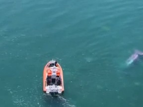 Thirteen people on board a skydiving plane, including the pilot, parachuted to safety in New Zealand on Wednesday moments before the aircraft crashed into a lake.
(Screenshot from YouTube)