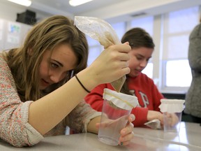 Moira Secondary School students Brie Kaduc-Stojsic and Sarah Rolston work on extracting DNA from a banana at the school Wednesday, Jan. 7, 2015. 
Emily Mountney-Lessard/The Intelligencer/QMI Agency