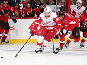 Milan Michalek of the Ottawa Senators chases Gustav Nyquist of the Detroit Red Wings back into their defensive zone during an NHL game at Canadian Tire Centre on December 27, 2014. (Jana Chytilova/Freestyle Photography/Getty Images/AFP)
