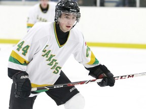 Brock Daugherty scored for the Wallaceburg Lakers in a 7-4 loss to the Amherstburg Admirals on Wednesday in the Great Lakes Junior 'C' Hockey League. (Daily News File Photo)