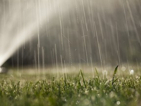 Sprinkler. 

(Fotolia)