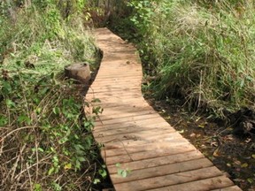 Photo by Naomi Grant
This is a small boardwalk neighbours put together where a favourite trail often flooded. This small project makes an important difference every day for everyone enjoying their walk through the woods.