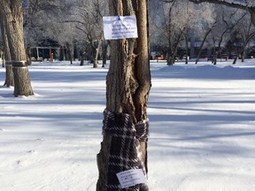 Chase The Chill, Regina uploaded photos showing some of the items people in Regina have draped over tree branches and tied to poles in the city. (Chase The Chill, Regina/Facebook)