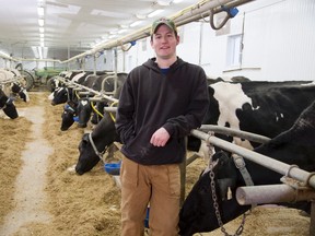 Dairy farmer Andrew Campbell is using his cell phone camera to document life on the farm by posting one photo each day of 2015 to his Twitter account. (DEREK RUTTAN/QMI AGENCY)