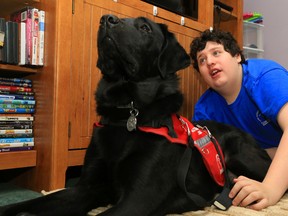 Therapy Dog Belleville